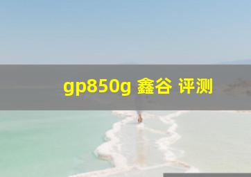 gp850g 鑫谷 评测